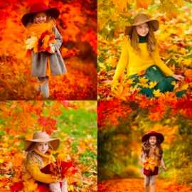 Diana Aleksandrovich – Online lesson “Processing autumn photos” Free Download