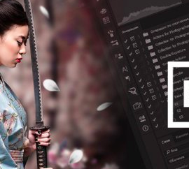 How to create a stunning artwork in just 30 minutes Free Download