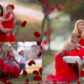 Kimla Designs Red Rose Petals Photo Overlays Free Download