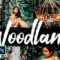 05 Woodland Photoshop Actions, ACR LUT 2637734 Free Download