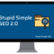 Stupid Simple SEO 2.0 Advanced Free Download