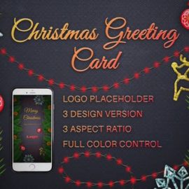Videohive Christmas Instagram Stories And Posts 25232100 Free Download