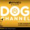 Videohive Dog Channel Broadcast Pack 23759634 Free Download