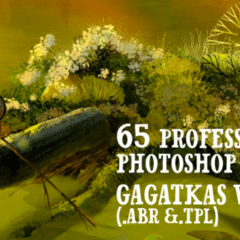 CreativeMarket Gagatkas vol2- PRO Photoshop brushes Free Download