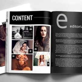 Indesign Multipurpose Magazine Vol2 Free Download