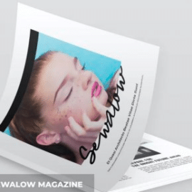 Sewalow Magazine Free Download