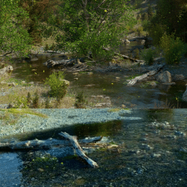 Gumroad – Creating Rivers Using Octane and Cinema 4D