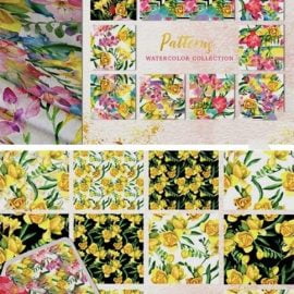 Floral Design Collection Watercolor Png 4757567 Free Download