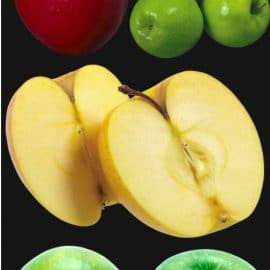 PNG clipart Apples Free Download