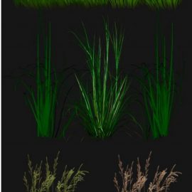 PNG clipart Grass 2 Free Download