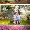 Summer Backdrop Photoshop Overlay 3972961 Free Download