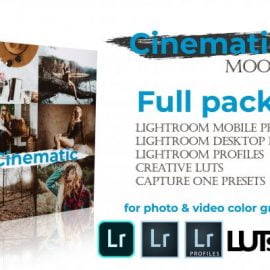 WeLovePresets – Cinematic Mood Full Pack Free Download