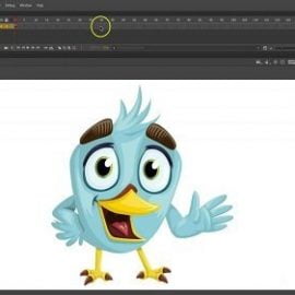 Adobe Animate CC Timeline and tools Free Download