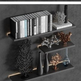 Decorative set of organic coral with books and vases Free Download