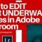 Editing Underwater Images in Adobe Lightroom
