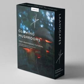 Laanscapes – Glowing Mushrooms Processing Video