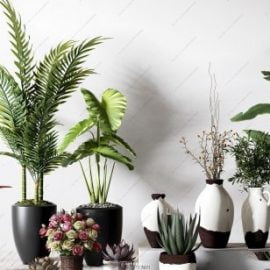 Plants collection 169 Free Download