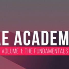 Motion Science – Ae Academy Volume 1 The Fundamentals
