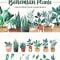Terracota Plant Bohemian Tropical Set Watercolor Free Download