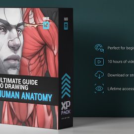 ULTIMATE Anatomy Free Download