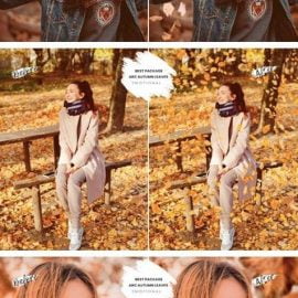 30 Arc Autumn Leaves 6093993 Free Download
