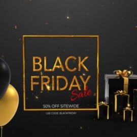 Videohive Black Friday 29458158 Free Download