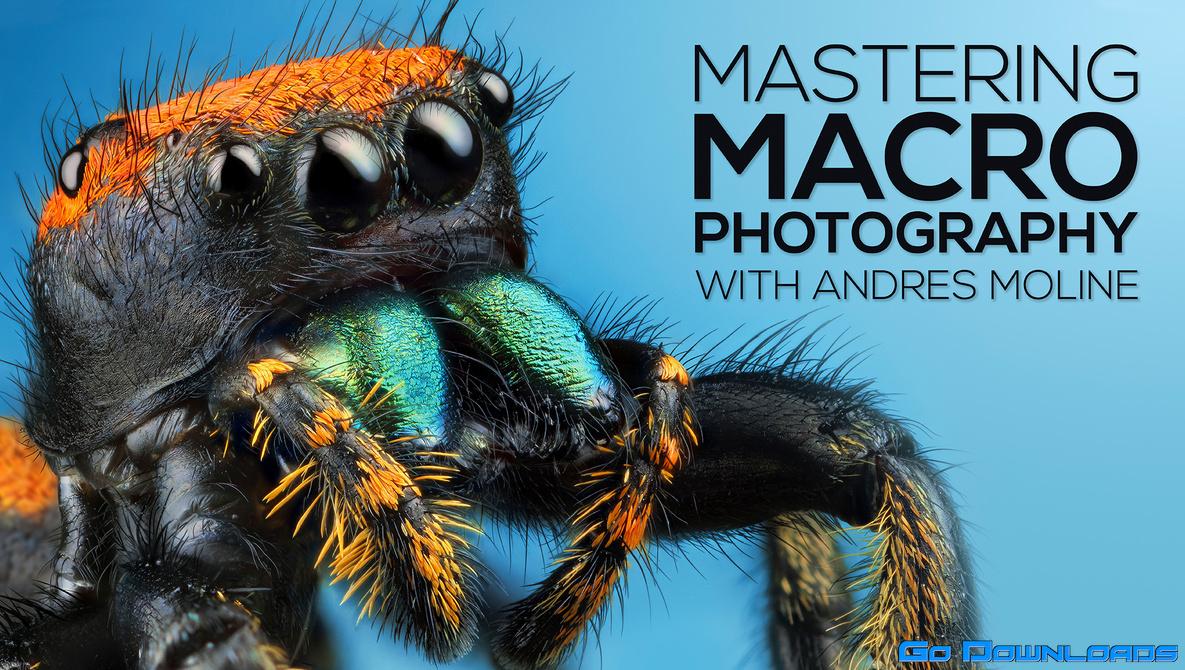 Andres Moline Fstoppers Mastering Macro Photography Free Download