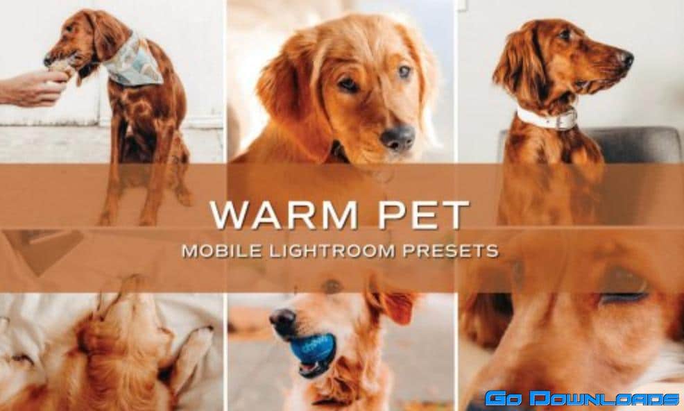 CreativeMarket – 5 Warm Pet Lightroom Presets 5701723 Free Download