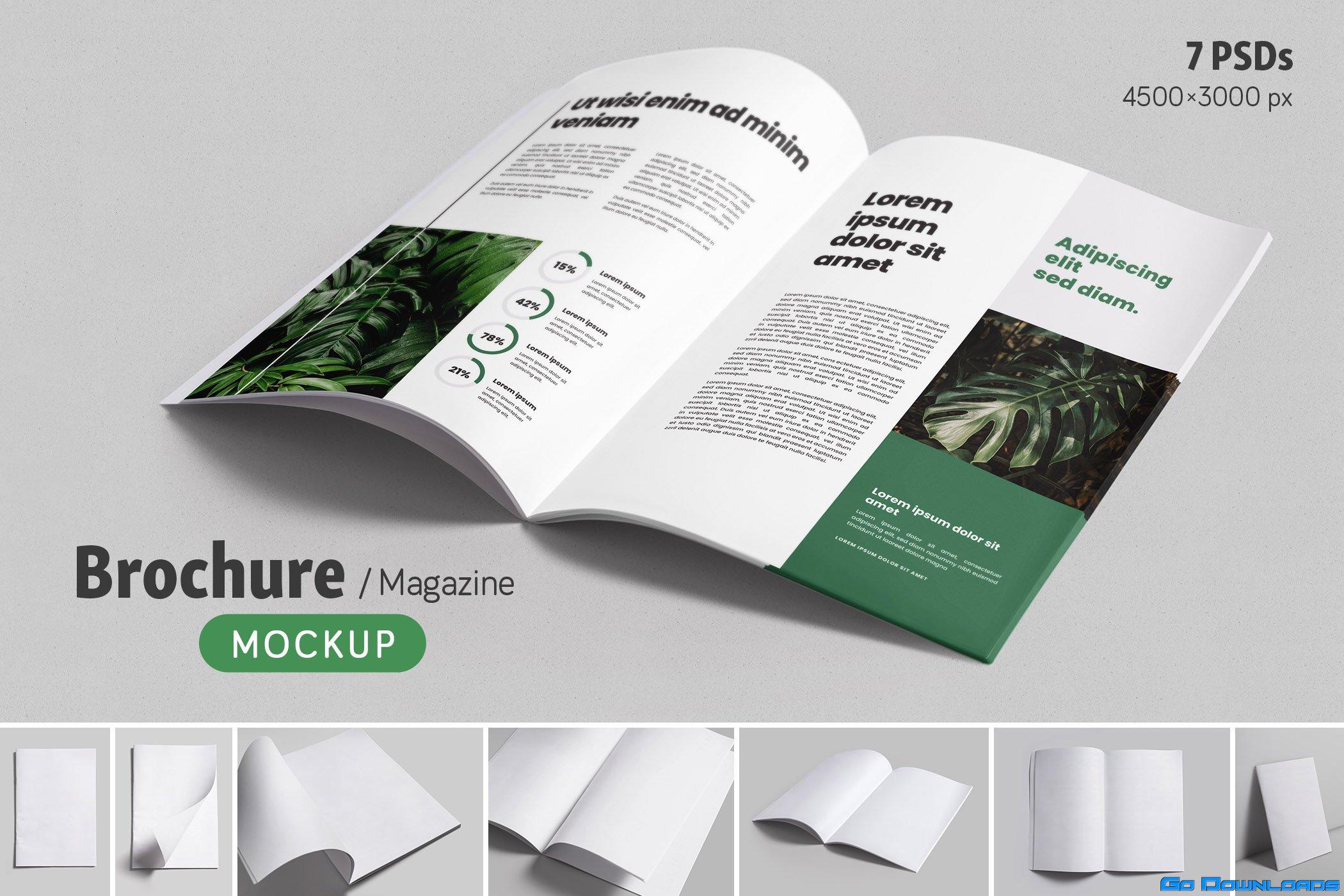 Brochure & Magazine Mock-ups  Creativemarket 42552