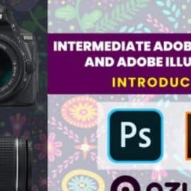 Intermediate Adobe Photoshop and Adobe Illustrator masterclass