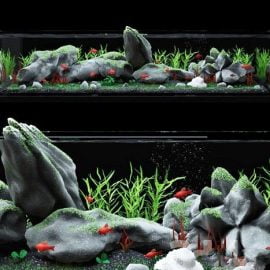 Aquarium with Fishes 3D Model for 3ds Max Free Download