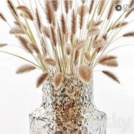 Dry flowers in glass vase 2 Free Download