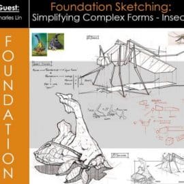 Foundation Patreon – Foundation Sketching: Simplifying Complex Forms – Insects with Charles Lin