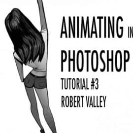 Robert Valley – Animation Tutorial 003