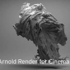 Arnold v4.0.0.1 for Cinema 4D R21 – R25 Win X64 Free Download