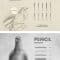 CreativeMarket Sketch & Pencil Procreate Brushes 6505262 Free Download