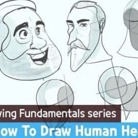 Drawing Fundamentals : how to draw the Human head !