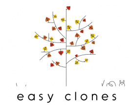 Easy Clones 1.1 for After Effects Free Download