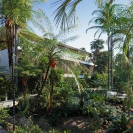Globe Plants Bundle 15 Palm World Free Download