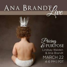 Live Workshop Pricing and Purpose – Ana Brandt & Lindsay Walden