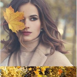 Girls and golden autumn stock photo Free Download