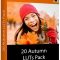 20 Autumn LUTs Pack Fre Download