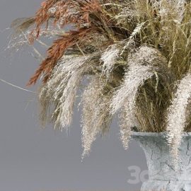 Bouquet Collection 13 Decorative Dried Branches and Pampas Free Download