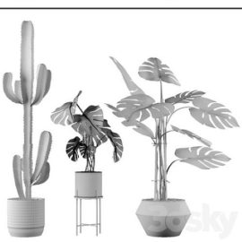 Plants collection 04 Free Download