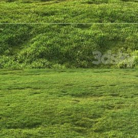 Tileable grass Free Download