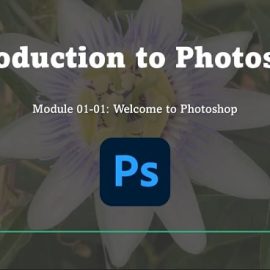Udemy – Adobe Photoshop CC for Beginners Free Download