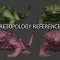 Blender – Retopology reference – Lizard creature Free Download