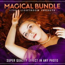 Magical Affinity Presets Bundle Free Download