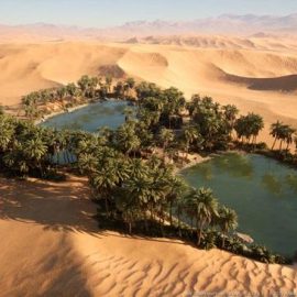 Unreal Engine Marketplace – MW Dune Desert Landscape Free Download